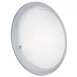233586_i_1.jpg