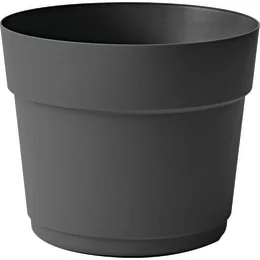 239401_i_1.jpg