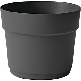 239402_i_1.jpg