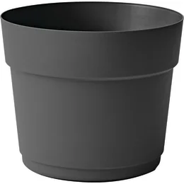 239403_i_1.jpg