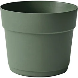 239409_i_1.jpg