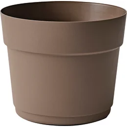 239417_i_1.jpg