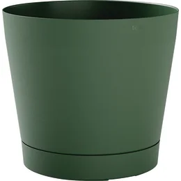 239428_i_1.jpg