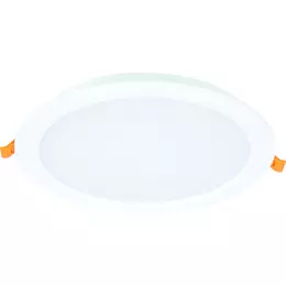 243584_i_2.jpg