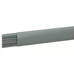 324319_i_1.jpg