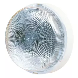 373582_i_1.jpg