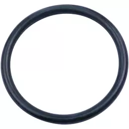 383570_i_1.jpg