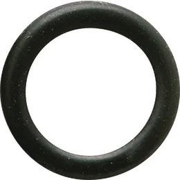 450654_i_1.jpg