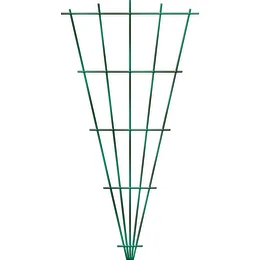 504022_i_1.jpg