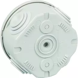 507009_i_2.jpg