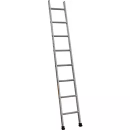 825442_i_1.jpg