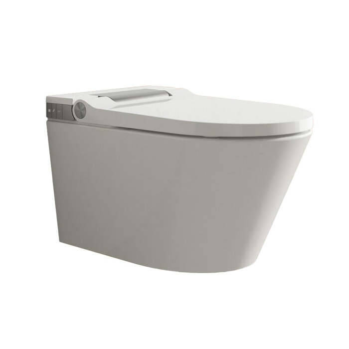 Visuel WC japonais suspendu TopToilet