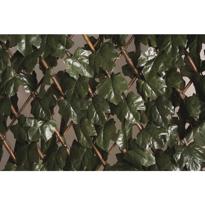 Treillis osier extensible à feuilles Catral - Longueur 2 m - Hauteur 1 m