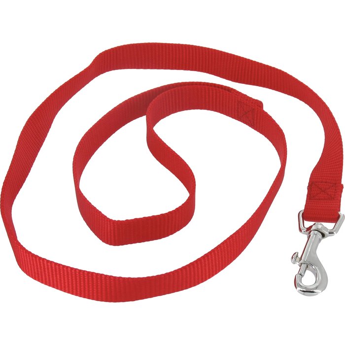 Équipements chiens et chats