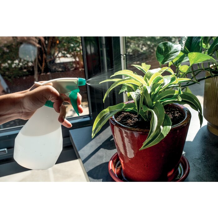 Pulvérisateur à gâchette Capvert 0,5 L en action