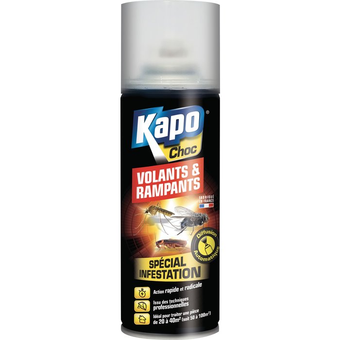 Aérosol tous insectes Kapo choc - 200 ml