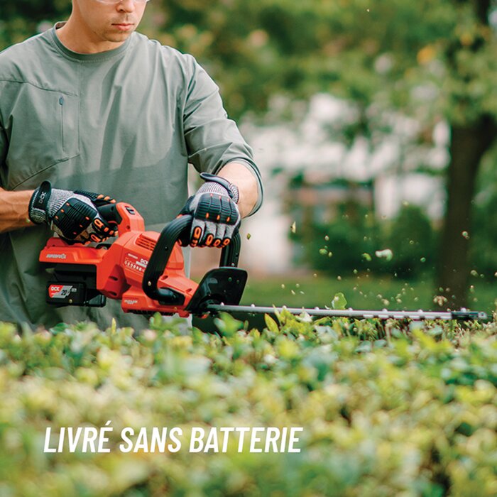 Taille-haies DCK 20V en utilisation
