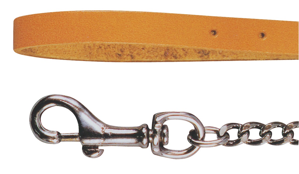 Laisse avec chaîne pour chien Zolux - Longueur 113 cm