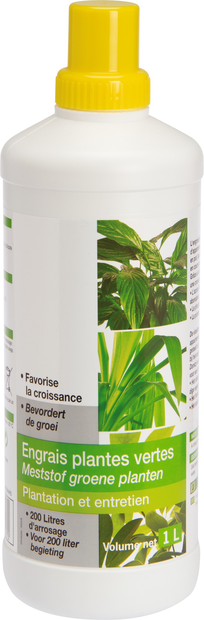 Engrais plantes vertes liquide Florendi - Bouteille 1 l