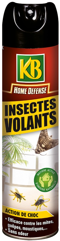 Insecticide insectes volants KB Home Defense - Aérosol 400 ml