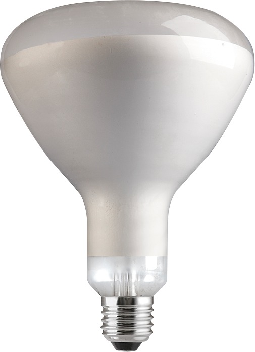 Ampoule infrarouge réflecteur - Tungsram - E27 - 250 W - Claire
